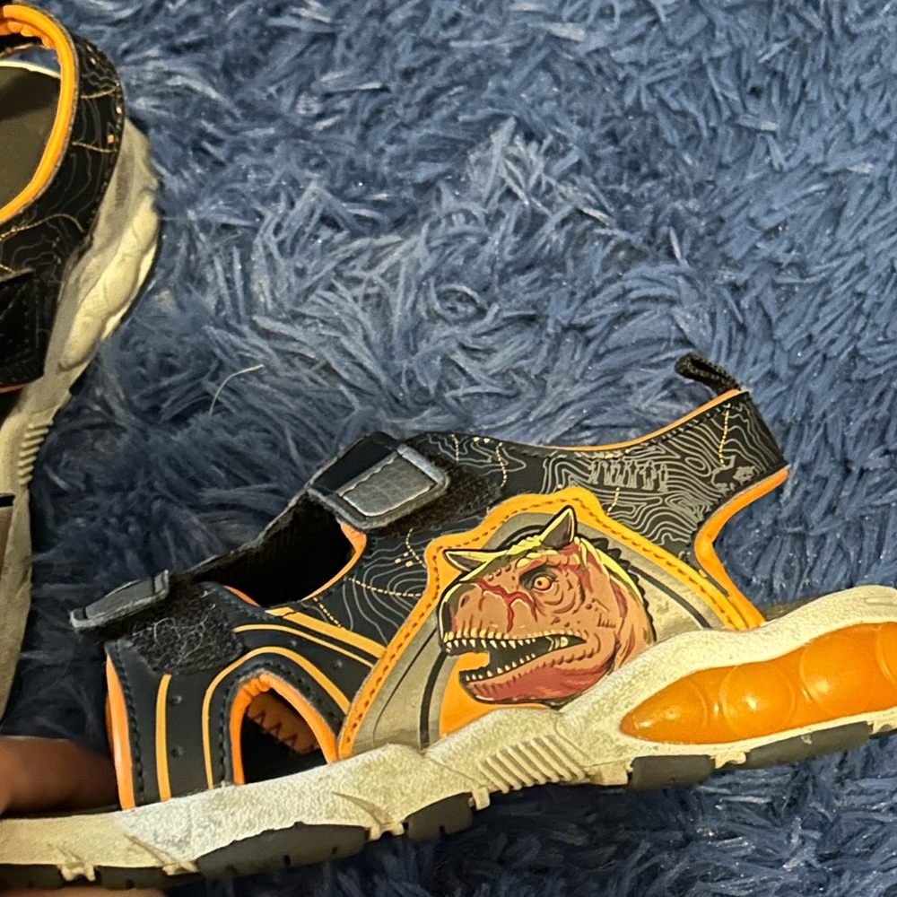 Size 10 dinosaur sandals Velcro